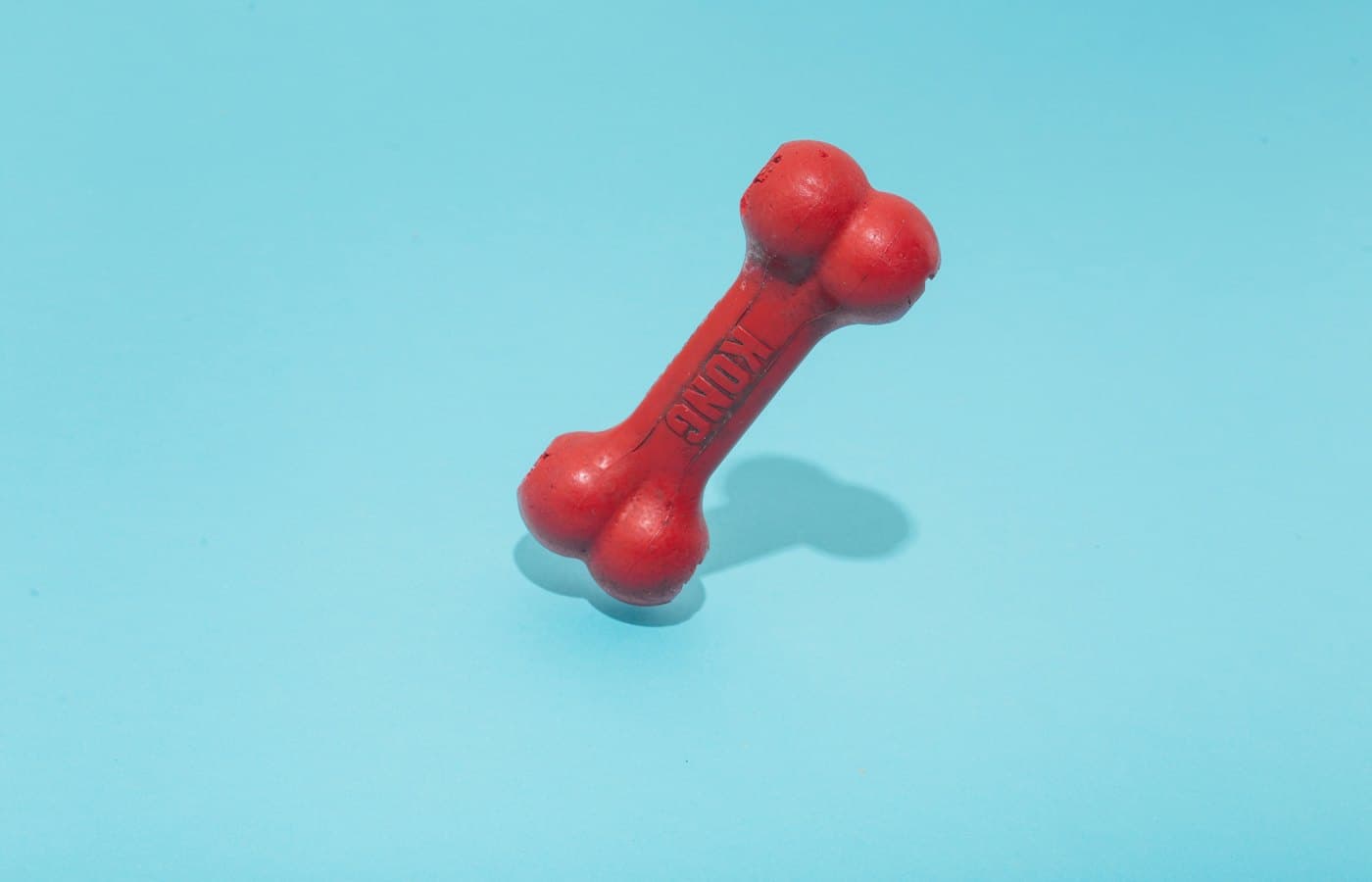 Red kong bone figure on teal surface