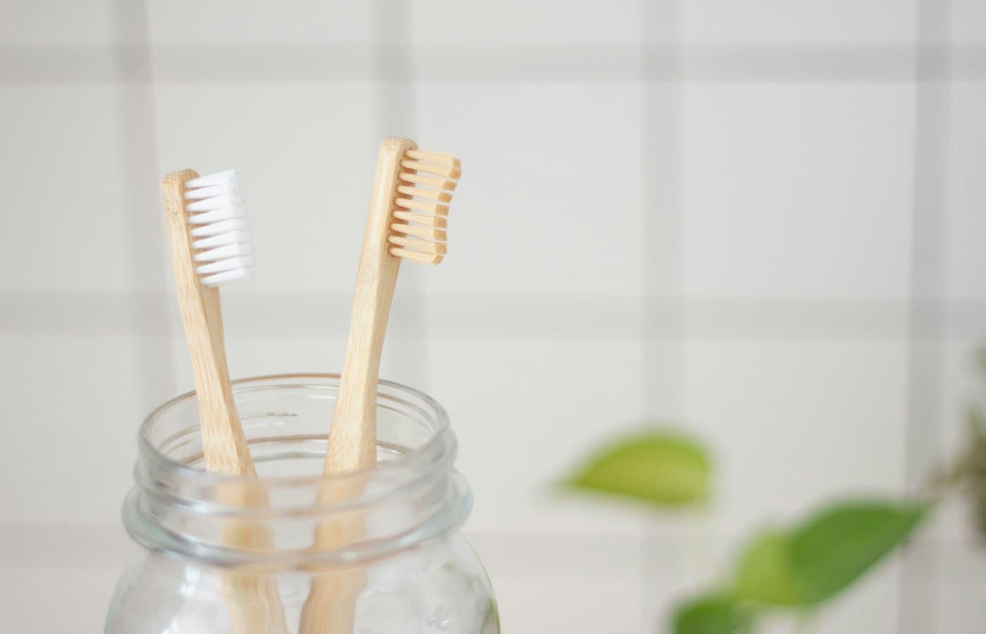 Two toothbrush in mason jar