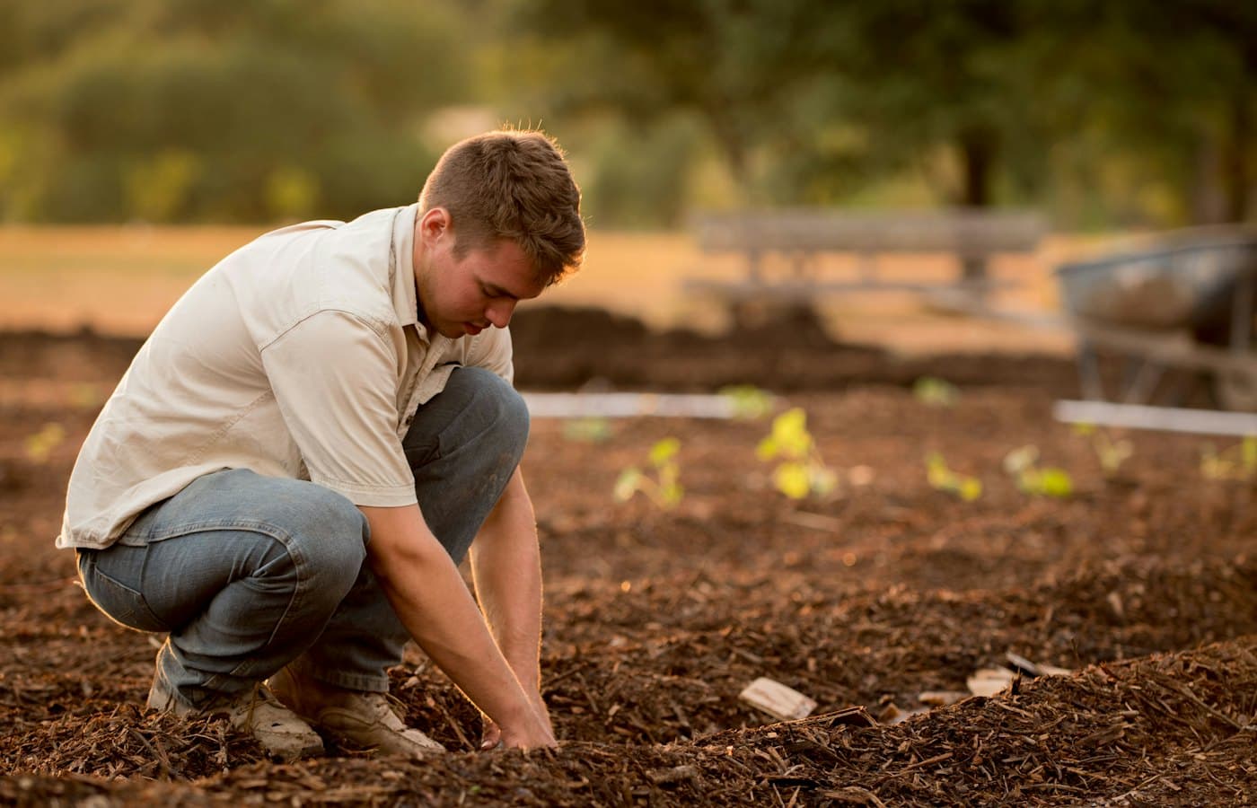 Man in white shirt planting at daytime