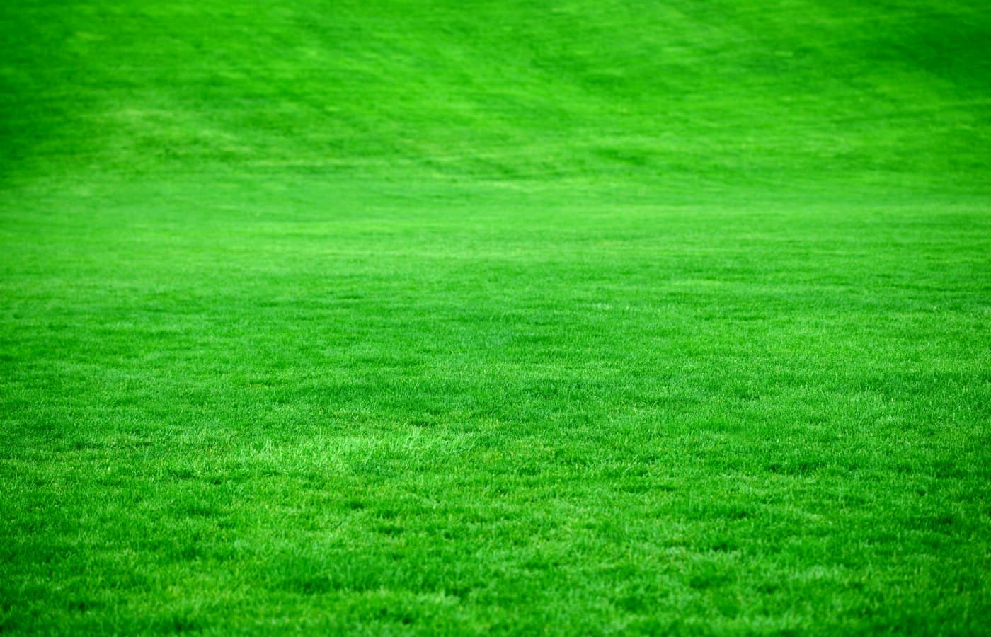 Green grass field