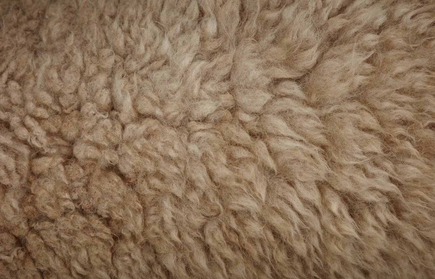 Close up of brown fluffy textured fur