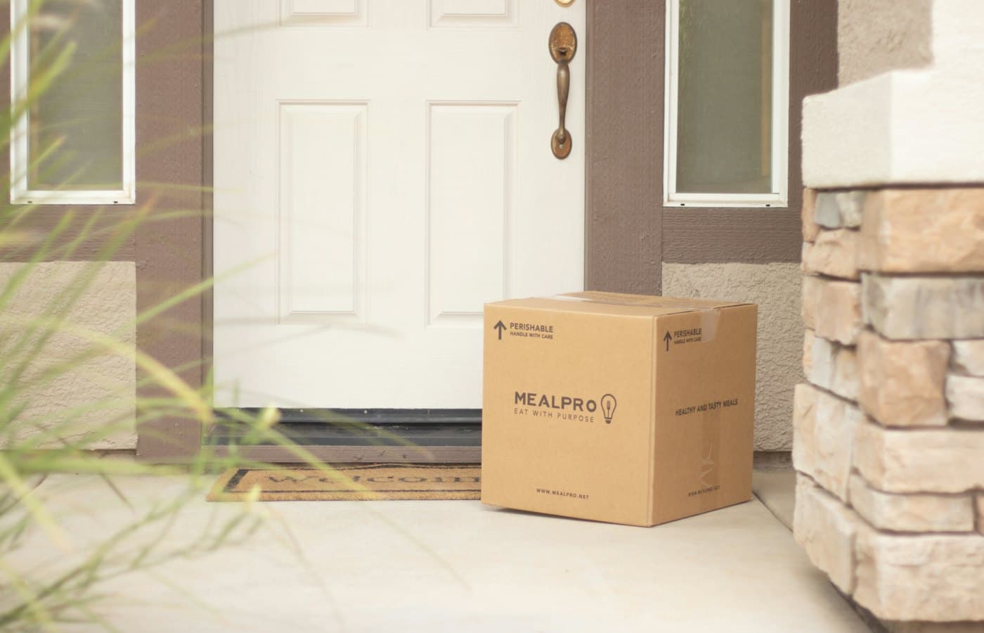 Brown cardboard box beside white wooden door