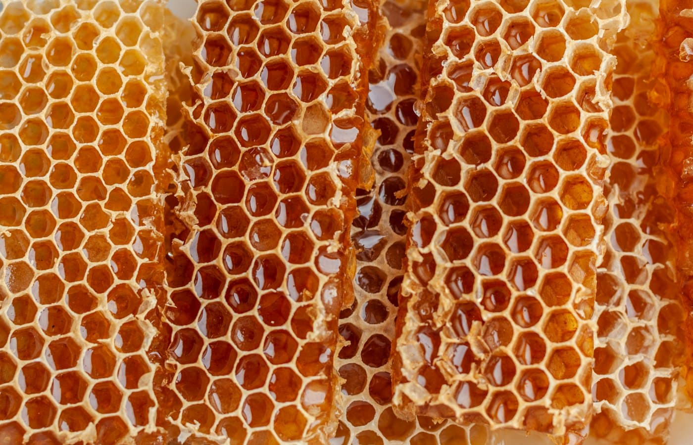 A close up of a bunch of honeycombs