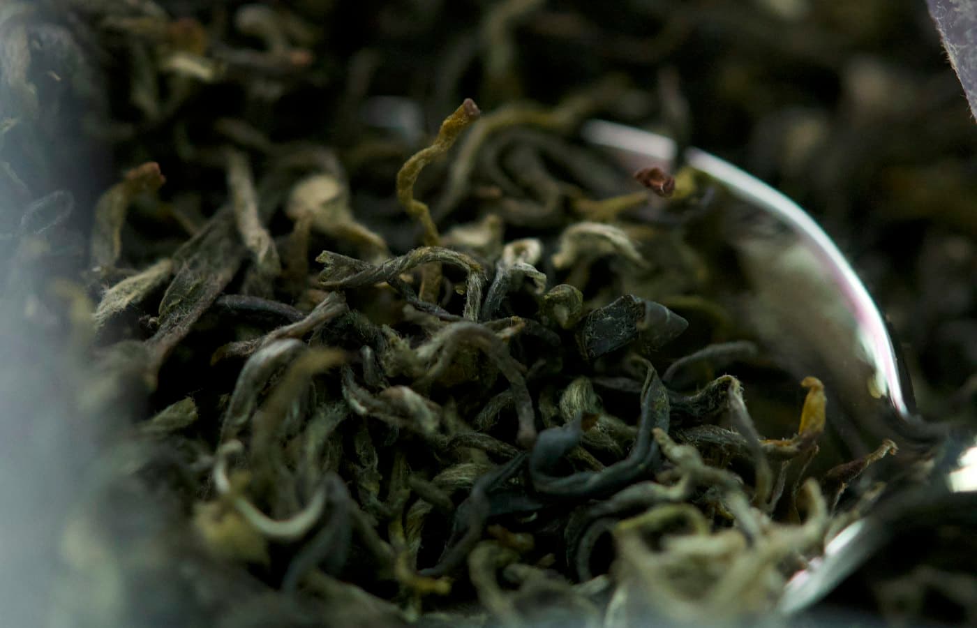 Close up of dried green tea leaves