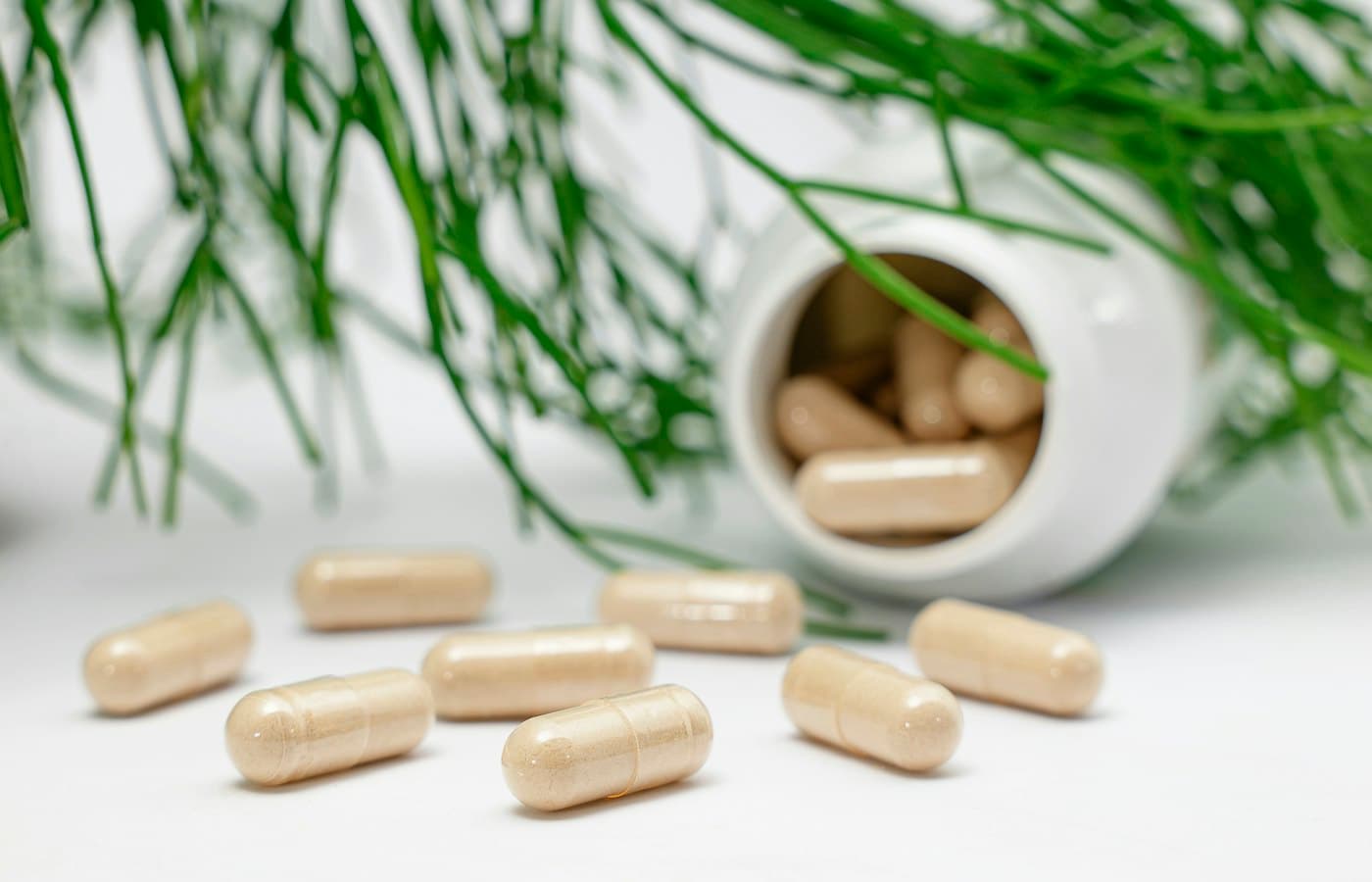 Beige capsules and pine needles