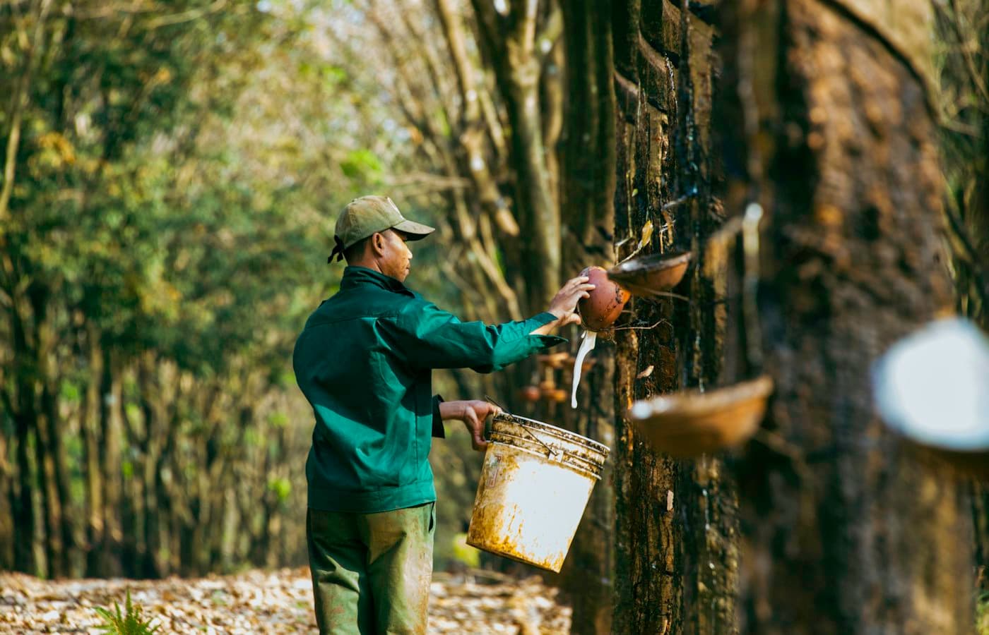 A man holding a bucket of water near a tree