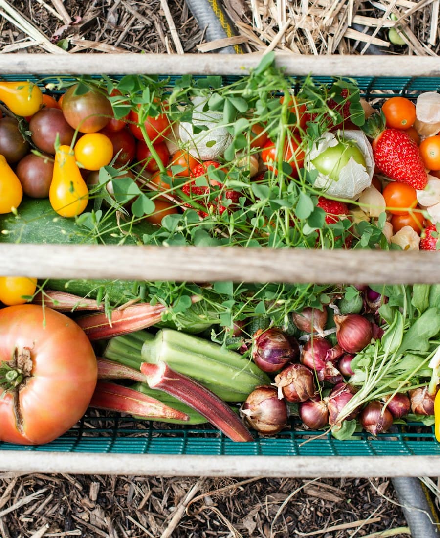 A wooden crate of freshly picked tomatoes, peppers and greens