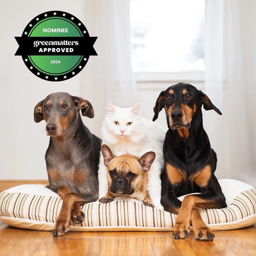 Essentia Kingston Organic Dog Bed